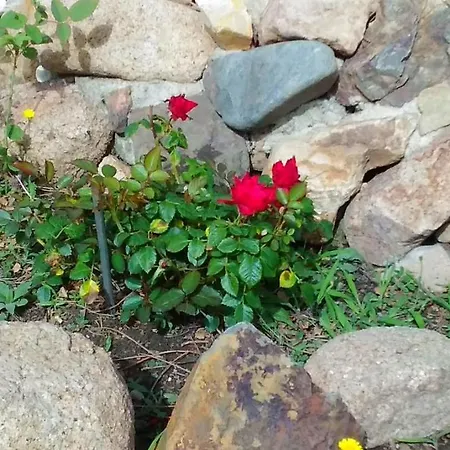 Da Sissi Bed & Breakfast