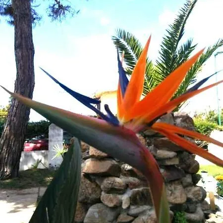 Da Sissi Bed & Breakfast 3*