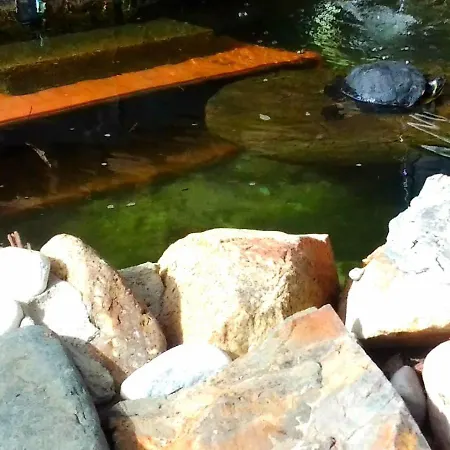 Da Sissi La Maddalena (Cagliari)