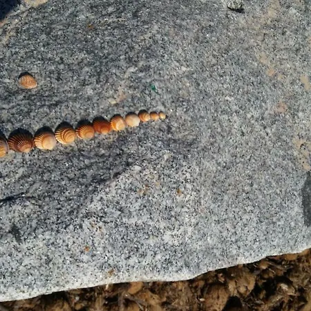 Bed & Breakfast Da Sissi 3*